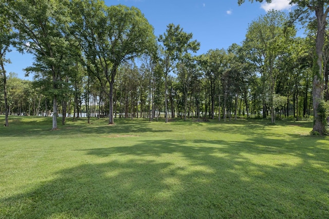 146 Watermill Ln, Lebanon, TN 37087 - photo 55