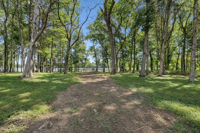 146 Watermill Ln, Lebanon, TN 37087 - photo 56