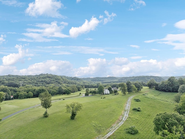 2022 Old Hillsboro Rd, Franklin, TN 37064 - photo 62