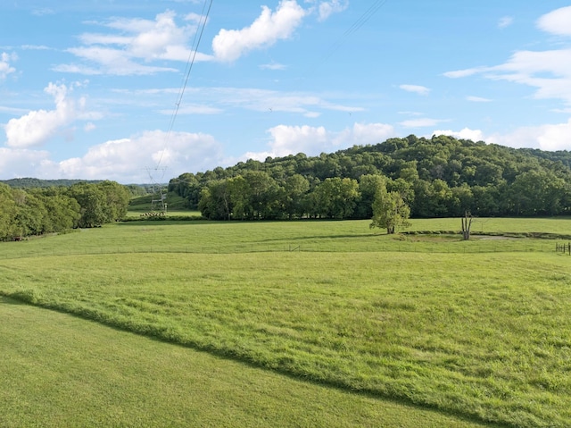 2022 Old Hillsboro Rd, Franklin, TN 37064 - photo 60