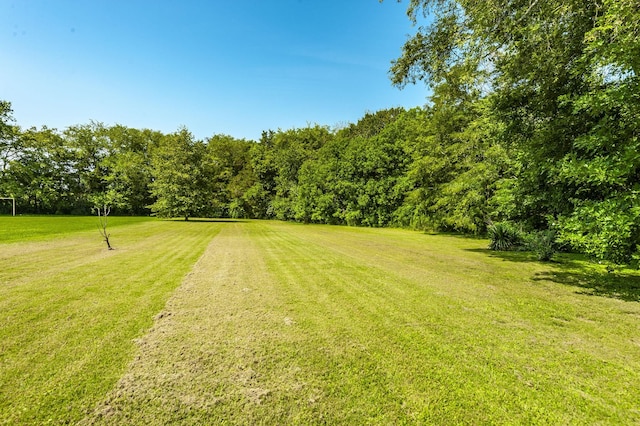 1045 Emerald Way, Castalian Springs, TN 37031 - photo 66