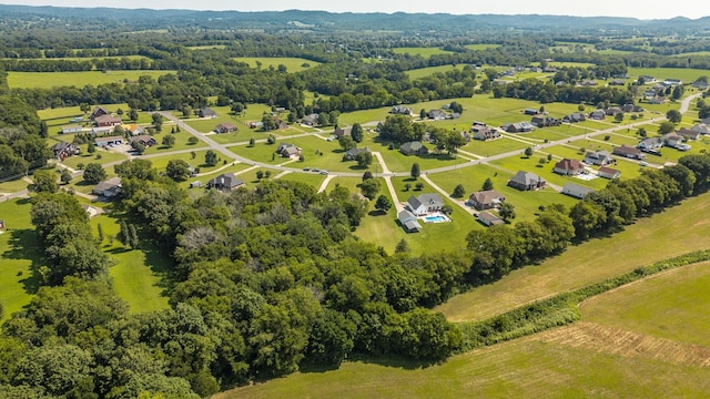 1045 Emerald Way, Castalian Springs, TN 37031 - photo 73