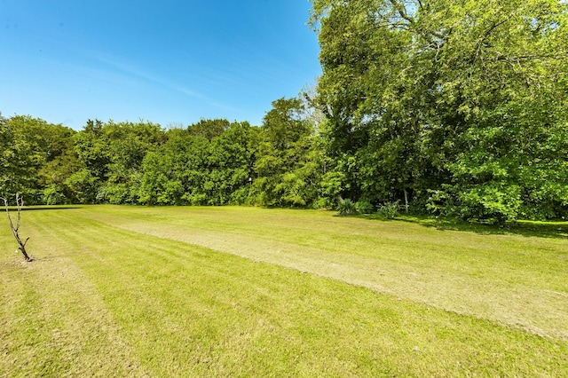 1045 Emerald Way, Castalian Springs, TN 37031 - photo 68