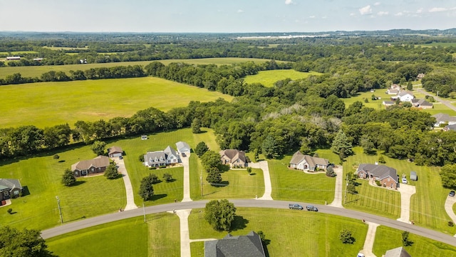 1045 Emerald Way, Castalian Springs, TN 37031 - photo 69
