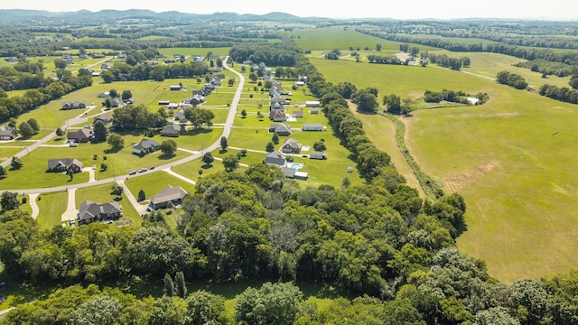 1045 Emerald Way, Castalian Springs, TN 37031 - photo 72
