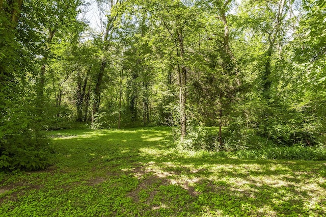 1045 Emerald Way, Castalian Springs, TN 37031 - photo 65
