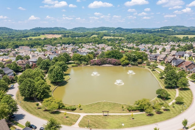2273 Maytown Cir, Thompsons Station, TN 37179 - photo 42
