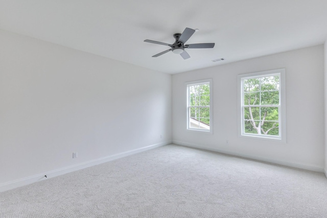 1128 Hibiscus Ln, Nolensville, TN 37135 - photo 36