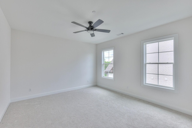 1128 Hibiscus Ln, Nolensville, TN 37135 - photo 38