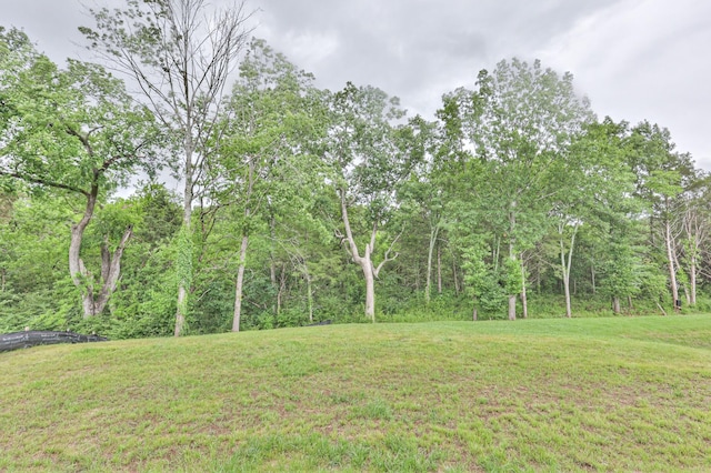 1128 Hibiscus Ln, Nolensville, TN 37135 - photo 55