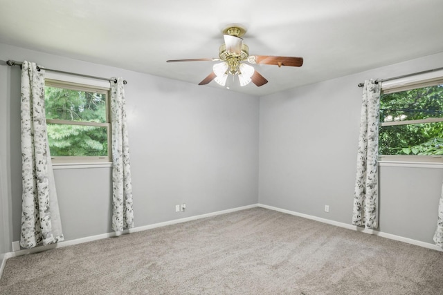 683 Brewer Dr, Nashville, TN 37211 - photo 26