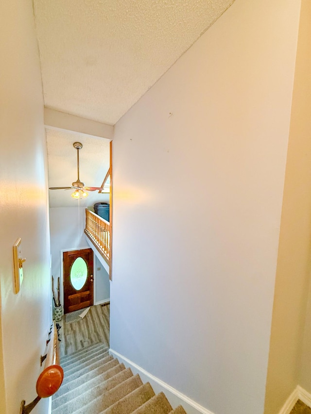 270 Pisgah Pike, Pulaski, TN 38478 - photo 37