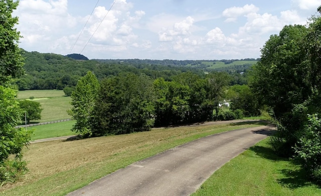 270 Pisgah Pike, Pulaski, TN 38478 - photo 48