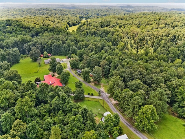 160 Pleasant View Ridge Rd, Indian Mound, TN 37079 - photo 36