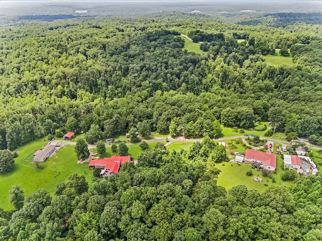 160 Pleasant View Ridge Rd, Indian Mound, TN 37079 - photo 40