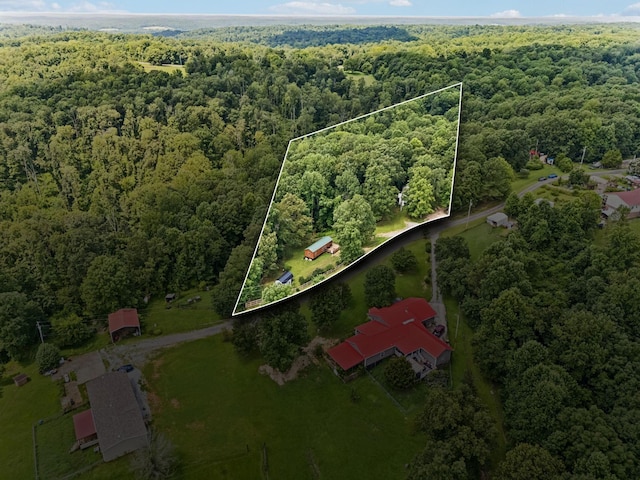 160 Pleasant View Ridge Rd, Indian Mound, TN 37079 - photo 19