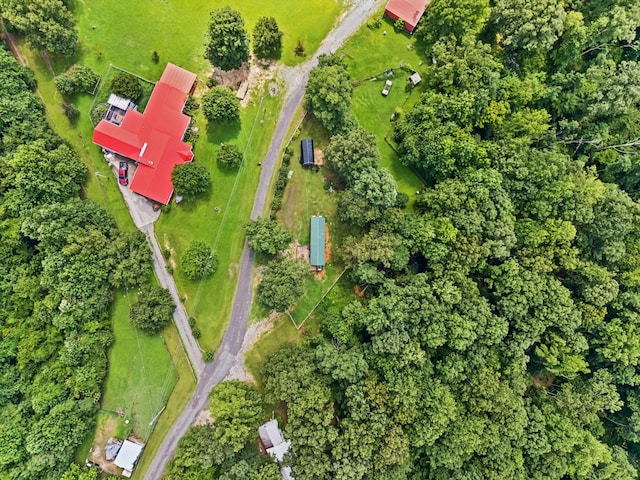 160 Pleasant View Ridge Rd, Indian Mound, TN 37079 - photo 39