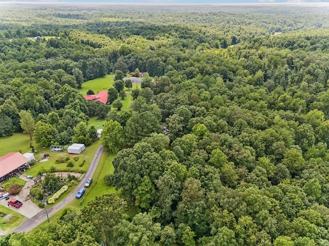 160 Pleasant View Ridge Rd, Indian Mound, TN 37079 - photo 38