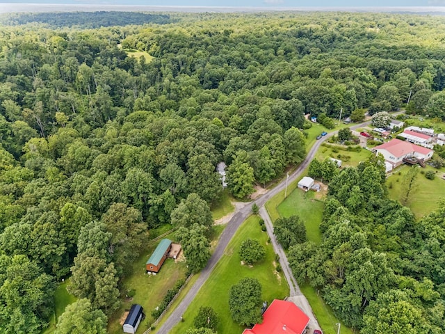 160 Pleasant View Ridge Rd, Indian Mound, TN 37079 - photo 37