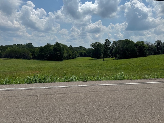 999 Old Lewisburg Hwy, Columbia, TN 38401 - photo 1