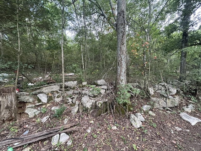 0 Greenhaw Rd, Decherd, TN 37324 - photo 2