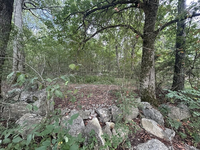 0 Greenhaw Rd, Decherd, TN 37324 - photo 1