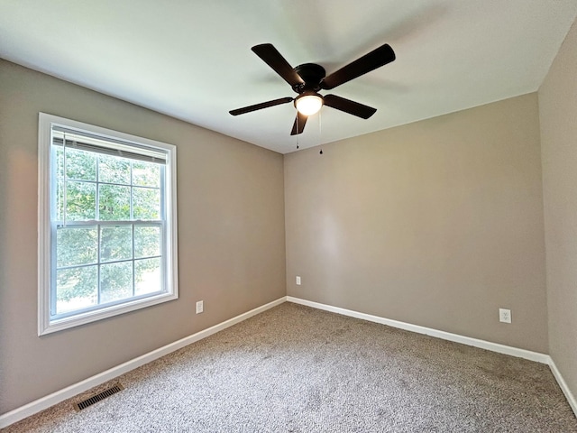1004 Gaines Hill Rd, Westmoreland, TN 37186 - photo 16