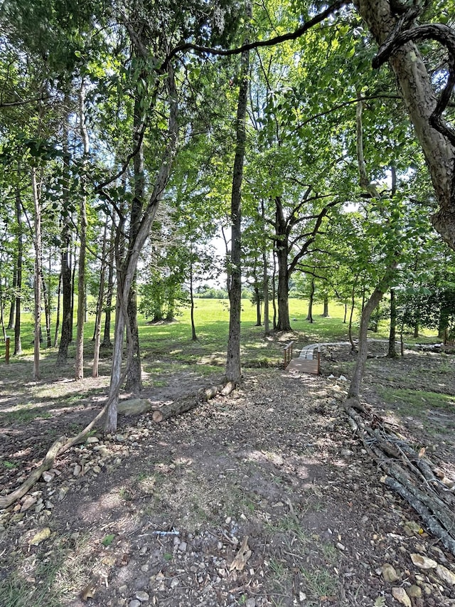 1004 Gaines Hill Rd, Westmoreland, TN 37186 - photo 25