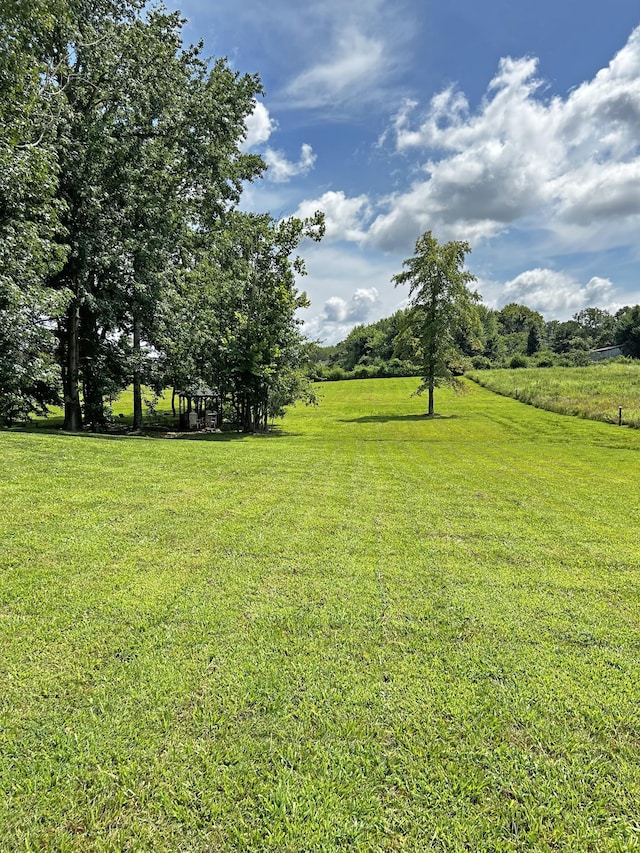 1004 Gaines Hill Rd, Westmoreland, TN 37186 - photo 24