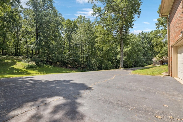 106 Dogwood Cir, Waverly, TN 37185 - photo 62