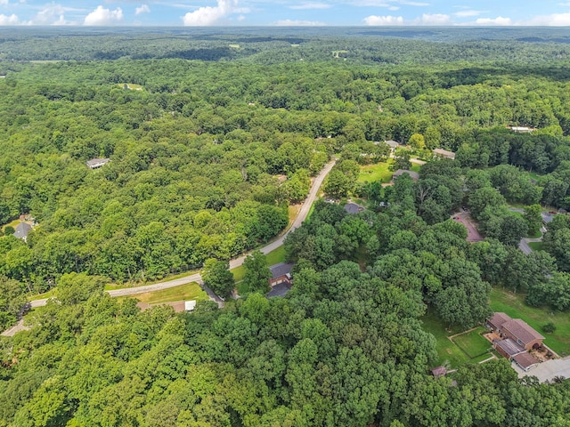 106 Dogwood Cir, Waverly, TN 37185 - photo 82