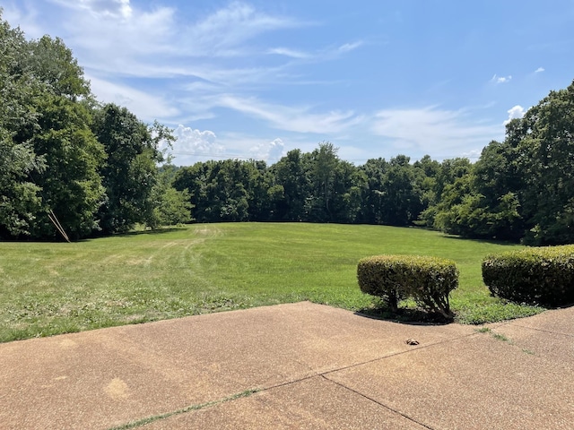 3900 Sadlersville Rd, Adams, TN 37010 - photo 25