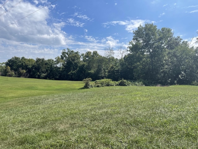 3900 Sadlersville Rd, Adams, TN 37010 - photo 33