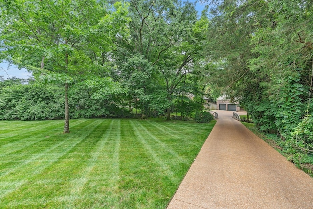 3907 Trimble Rd, Nashville, TN 37215 - photo 2