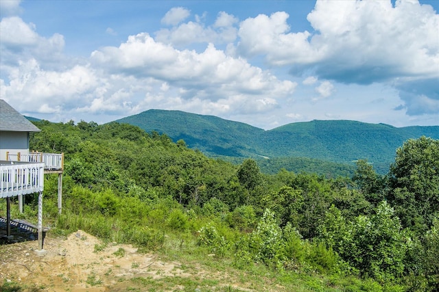 82 Browns Gap Rd, Crossville, TN 38555 - photo 4