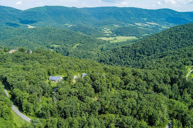 82 Browns Gap Rd, Crossville, TN 38555 - photo 78