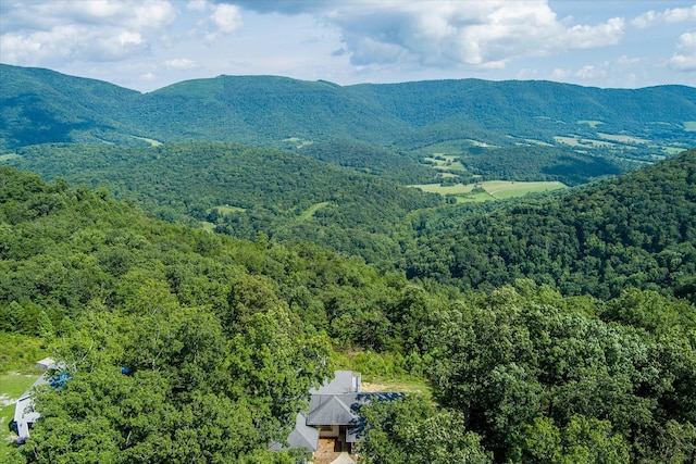 82 Browns Gap Rd, Crossville, TN 38555 - photo 66