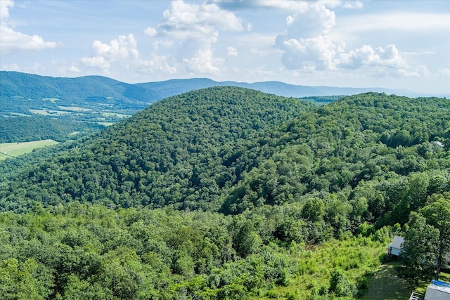 82 Browns Gap Rd, Crossville, TN 38555 - photo 72