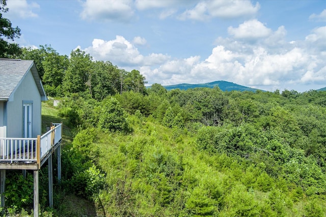 82 Browns Gap Rd, Crossville, TN 38555 - photo 69
