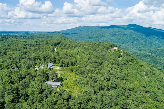 82 Browns Gap Rd, Crossville, TN 38555 - photo 75