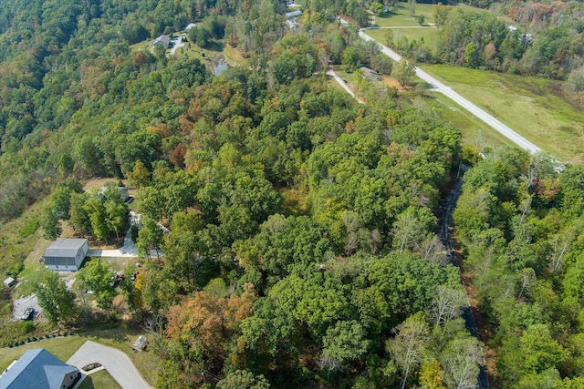 82 Browns Gap Rd, Crossville, TN 38555 - photo 59