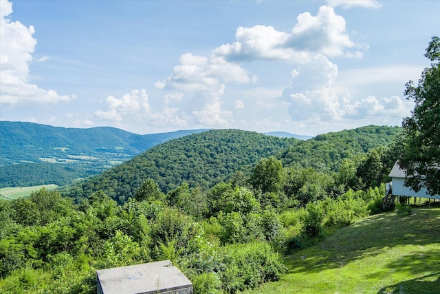 82 Browns Gap Rd, Crossville, TN 38555 - photo 71