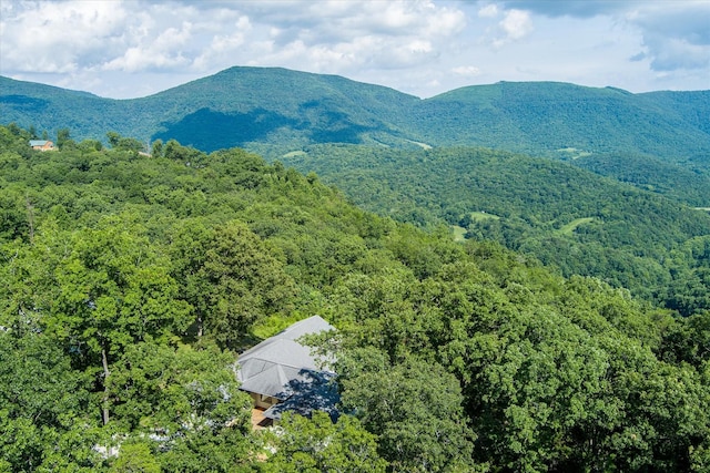 82 Browns Gap Rd, Crossville, TN 38555 - photo 67