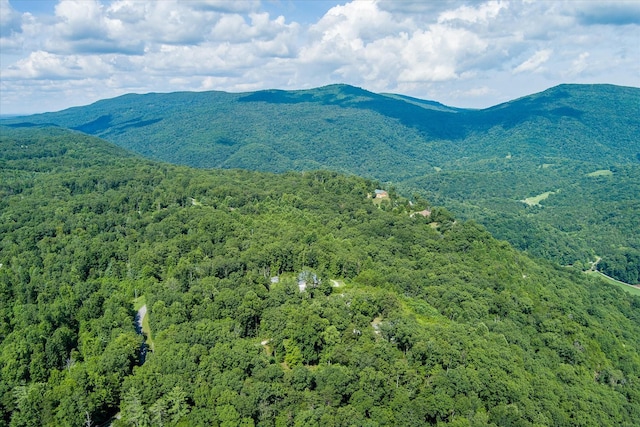 82 Browns Gap Rd, Crossville, TN 38555 - photo 76