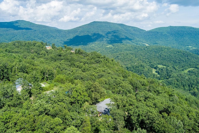 82 Browns Gap Rd, Crossville, TN 38555 - photo 65