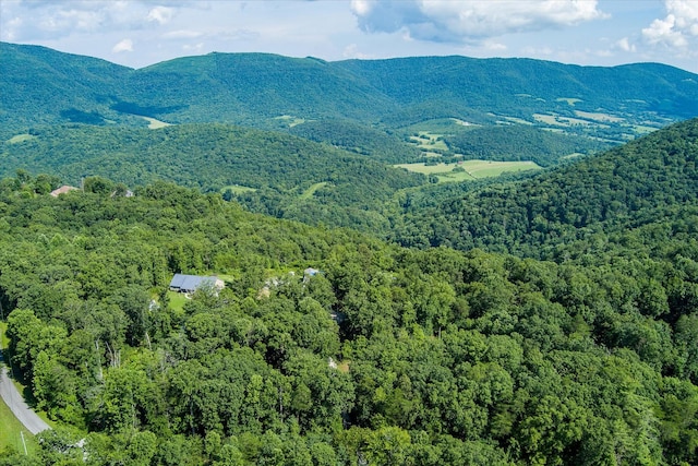 82 Browns Gap Rd, Crossville, TN 38555 - photo 77