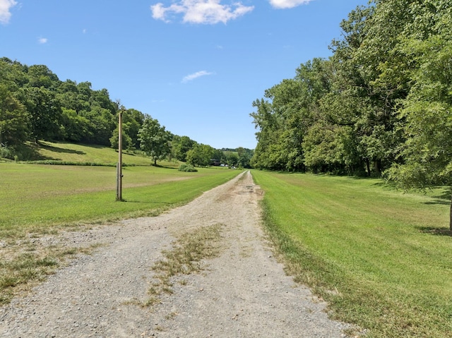 2864 Sycamore Valley Rd, Pleasant Shade, TN 37145 - photo 2