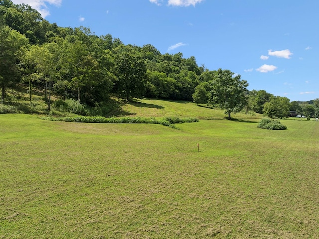 2864 Sycamore Valley Rd, Pleasant Shade, TN 37145 - photo 6