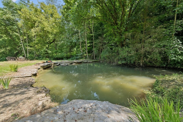 2864 Sycamore Valley Rd, Pleasant Shade, TN 37145 - photo 20