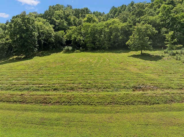 2864 Sycamore Valley Rd, Pleasant Shade, TN 37145 - photo 4